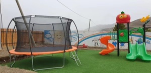 Vente Flash 2026 : Trampoline de fitness rond de 3,6 m (12 pieds) pour l'intérieur et l'extérieur, avec filet de sécurité, directement de l'usine - Product Image 5