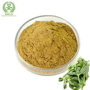 Produced from Chinese quality products Andrographis Paniculata Extract