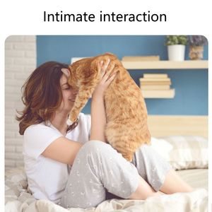 Venta al por mayor de alimentos secos para gatos saludables y nutritivos con sabor a pollo, atún, carne de bacalao para golosinas y aperitivos para mascotas - Product Image 5