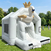 Château Gonflable Personnalisé Thème Dessin Animé pour Enfants et Famille, Aire de Jeux Extérieure avec Toboggan, Idéal pour Location Commerciale