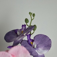 Orchidée papillon artificielle en soie faite à la main de haute qualité pour la décoration de la maison, des vases, des arrangements floraux de mariage, vente en gros
