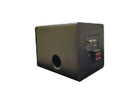 Amplificateur de haut-parleur actif 150 W Super Bass SW150 avec caisson de basses de 10 pouces