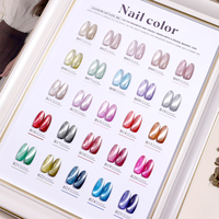 Nouveau design 25 couleurs de perles de verre gelée pour les yeux de chat Collection de vernis à gel UV vente en gros Ensemble de vernis à gel pour les yeux de chat