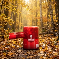 Grenade anti-incendie 500g, extincteur aérosol à lancer, classe ABCEF, coque en acier, pour lancer et éteindre
