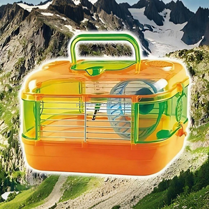 Gabbia di vista trasparente in plastica di alta qualità per criceti topi e gerbilli con colori assortiti opzionali - Product Image 6