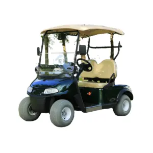 2 posti Mini elettrico Golf Cart GEL batteria Curits Controller Golf Buggy EZGO stile