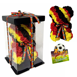 Oso de Peluche Premium con Rosas Artificiales de la Selección Nacional de Alemania, con Cinta de Fútbol, Souvenir - Product Image 1