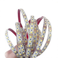 Bande lumineuse LED USB en PVC Tsinye, flexible, SMD2835, haute luminosité, indice de protection IP44, pour la décoration de la chambre, de la cuisine, des fêtes