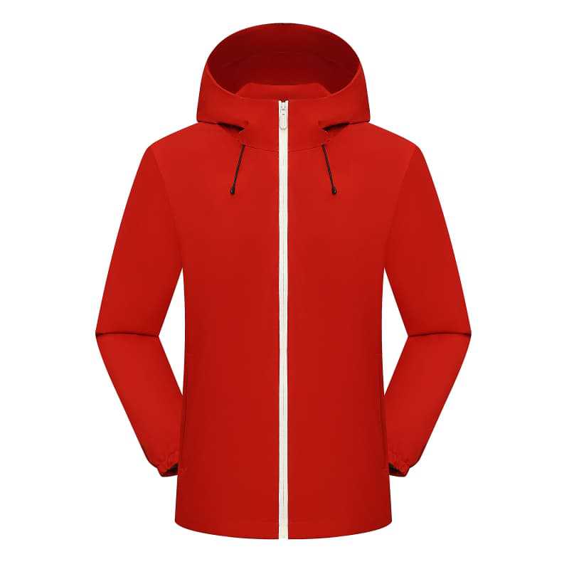 Oiseau vermillon rouge