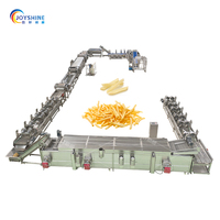 Volledig automatische productielijn voor Franse frieten, industriële chipsmachine met frituren, kruiden en verpakking
