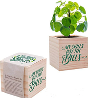 Cadeau d'appréciation de cube de plante et jardinière en bois-accessoire de bureau de remerciement de l'enseignant de l'employé