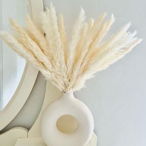 O-033 Pampas Secas Blancas Pequeñas Personalizadas, Populares, Esponjosas, Naturales y Silvestres - Product Image 1