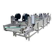 Industriële machine voor het reinigen, drogen en verwerken van verse groenten en fruit, inclusief koudelucht droger.