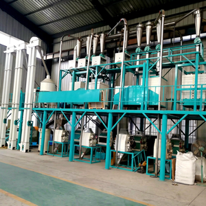 Usine de mouture combinée blé et maïs 50T/24H, ligne de production complète de transformation des céréales - Product Image 1