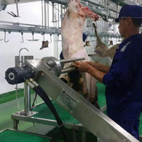 Machine de transformation de la viande de mouton, usine d'abattage halal d'agneau, pompe, moteur, roulement, noyau, haute productivité, acier inoxydable