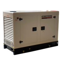 Generador Diésel Silencioso DMS-YTO10 de 10kw de Alta Calidad con Motor YTO YD385D de Bajo Ruido y Alternador Insonorizado STF-164C