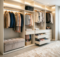 Système de dressing ouvert moderne sur mesure avec armoire intégrée et éclairage LED pour dressing