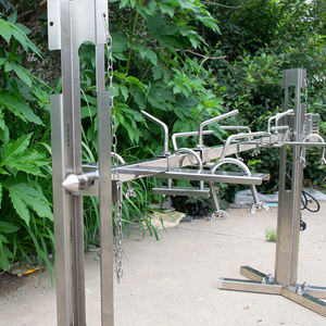 HDS02 Asador Giratorio Personalizado al por Mayor, Parrilla de Acero Inoxidable para Asar Cerdos y Pollos, Parrilla Eléctrica para Camping y Picnic - Product Image 5