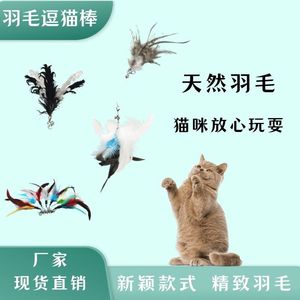 Jouet pour chat en plumes de fabrication artisanale avec têtes interchangeables, plumes colorées et réalistes, jouet interactif pour animaux de compagnie - Product Image 5