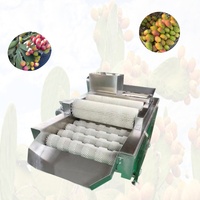 Hete Verkoop Stekelige Peer Doorn Verwijdering Machine Nopal Fruit Dethorning Machine Cactus Dethorning Machine