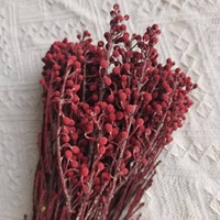 Fleurs préservées en gros, fruits coralliens, décoration d'intérieur, bouquet, fournitures de bricolage et d'arrangement de mariage