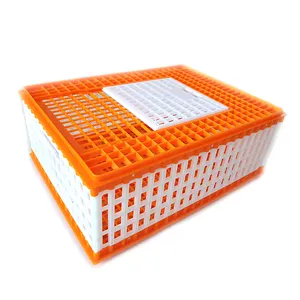 cheapest price chicken transport cage plastic poultry transport layer cage