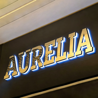 Enseigne rétroéclairée en acier inoxydable LED 3D personnalisée, signalétique de logo haut de gamme pour bar, centre commercial, bureau, institut de beauté, bâtiments, maison, montage mural, IP65