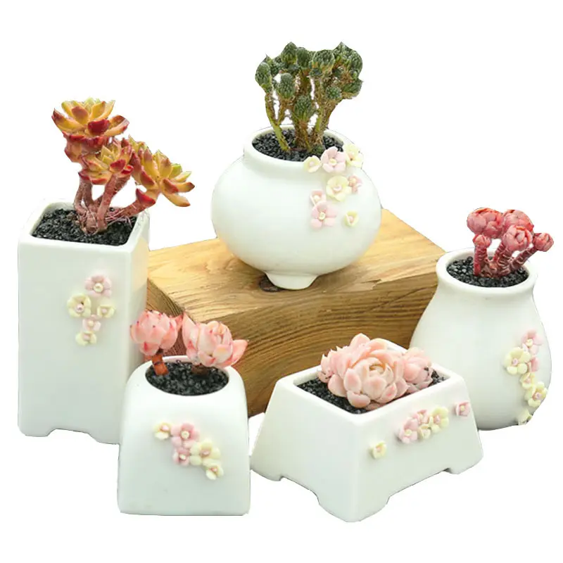 Pots de fleurs succulentes en céramique d'argile, vente en gros, 12 pièces, pour décor, extérieur