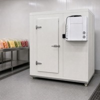 Chambre froide commerciale, température contrôlée, anti-corrosion, stable pour le stockage d'aliments surgelés, de produits laitiers et de boissons
