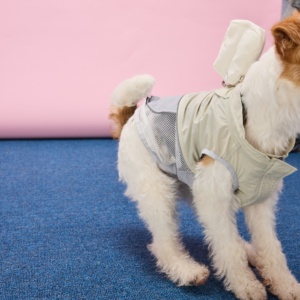 Gilet Estivo Leggero e Traspirante per Cani di Taglia Media, Impermeabile, Anti-Insetti e Anti-Sole, Ideale per l'Esercizio Fisico - Product Image 2