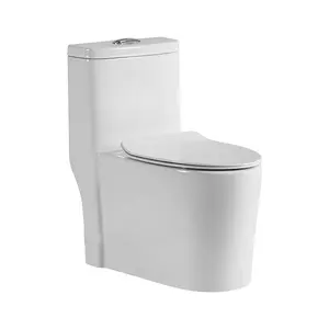 Fabricant d'appareils sanitaires céramique inodoro de salle de bain wc placard toilette