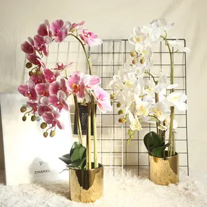 Neueste kunden spezifische Schmetterlings orchidee künstliche Blumen Bonsai Pflanzen Set Topf Phalaenopsis Orchidee Real Touch