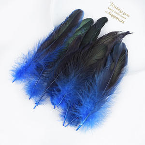 50 Plumes Colorées <span class=keywords><strong>de</strong></span> <span class=keywords><strong>Coq</strong></span> (12-20cm) <span class=keywords><strong>pour</strong></span> Coiffure Indienne, Décoration DIY, Jouet Amusant <span class=keywords><strong>pour</strong></span> Chat, Artisanat, Ornements, Vêtements - Product Image 5