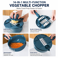 Hotseller 16-in-1 multifunctionele handmatige groentehakker, aardappelsnijder, rasp, cutter, mini-voedselprocessor