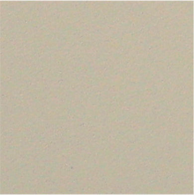 หมอก FG-05 13-0607 TPG