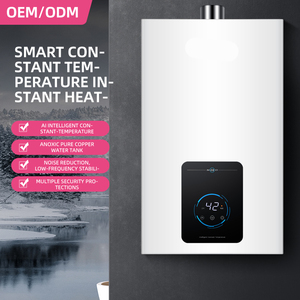 سخان مياه فوري من الفولاذ المقاوم للصدأ بسعة 12 و13 و16 لتر مع تحكم ذكي في التدفق ودرجة حرارة ثابتة للمنزل والمركبات الترفيهية - Product Image 2