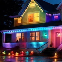 Guirlandes lumineuses LED à pixels étanches IP67 pour l'extérieur, éclairage paysager de Noël avec corps de lampe en PC, installation permanente
