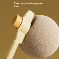 Peigne démêlant pour chats et chiens, outil de suppression des poils flottants, râteau pour animaux à poils longs, nettoyage spécial en un clic, Chine