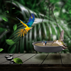 Bain d'oiseaux suspendu 2-<span class=keywords><strong>en</strong></span>-1 <span class=keywords><strong>en</strong></span> métal, mangeoire pour oiseaux sauvages, <span class=keywords><strong>en</strong></span> <span class=keywords><strong>fer</strong></span> <span class=keywords><strong>forgé</strong></span> antirouille, décoration <span class=keywords><strong>de</strong></span> <span class=keywords><strong>jardin</strong></span>, plateau extérieur multifonctionnel pour oiseaux sauvages - Product Image 2