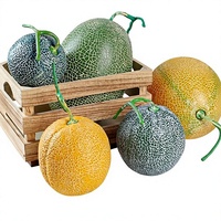 Voorraad Groothandel Vroeg Onderwijs Schieten Schetsen Rekwisieten Nep Fruitmodel Hoge Simulatie Realistisch Cantaloupe Plastic Handgemaakt