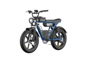 Bicicleta Eléctrica de Montaña de 48V con Llantas Gruesas de 20 Pulgadas para Adultos RX-T8 1, Motor Potente y Gran Autonomía, Equipada con un Motor de 750W - Product Image 2