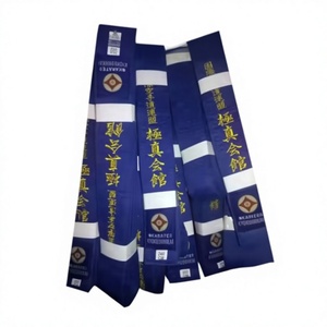 Guantes de Karate Kyokushin de Nuevo Diseño, Guantes de Karate con Banda Larga - Product Image 4