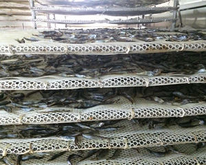 Pompe à chaleur industrielle Air chaud Séchoir intelligent Armoire à frites Soldat <span class=keywords><strong>noir</strong></span> Séchoir à mouches Déshydrateur alimentaire Machine à sécher la poudre d'oeufs - Product Image 2