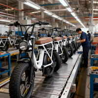 Vélo de montagne électrique à pneus larges de 20 pouces, batterie au lithium 48V sans balais, frein à disque, moteur à moyeu arrière, cadre en acier