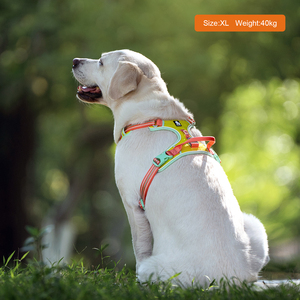 Arnés de malla transpirable y duradero Truelove <span class=keywords><strong>para</strong></span> perros, reflectante, de seguridad, premium, ajustable, <span class=keywords><strong>para</strong></span> pasear. - Product Image 6