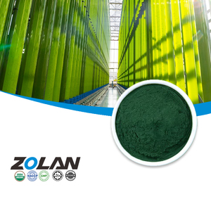 Fournisseur premium de poudre de spiruline biologique, algues bleu-vert riches en protéines végétaliennes, vitamines et minéraux de marque privée - Product Image 1