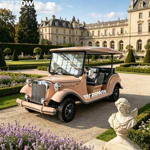 Voiture de tourisme électrique rétro classique commerciale, véhicule de balade durable pour attractions touristiques, parcs à thème et stations balnéaires - Product Image 1