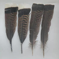 Proveedor de Plumas al por Mayor, Precio Económico, Excelente Calidad, Pluma de Cola de Pavo Salvaje Natural de 6-8 Pulgadas para Decoración