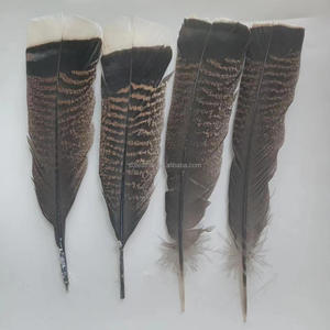 ขนนกไก่งวงธรรมชาติขนาด6-8นิ้วสำหรับตกแต่ง - Product Image 2