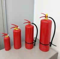 Vente d'usine, extincteur ABC, extincteur portable pour voiture, extincteur à poudre sèche avec certification CE
